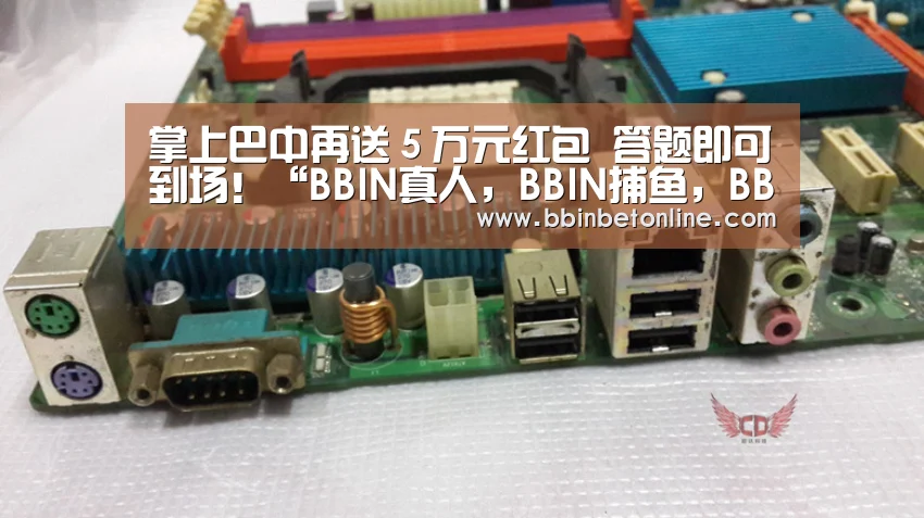 BBIN真人，BBIN捕鱼，BBIN视讯，BBIN官网