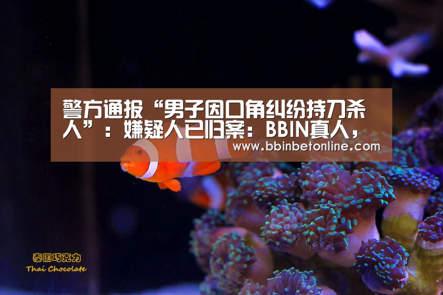 警方通报“男子因口角纠纷持刀杀人”:嫌疑人已归案:BBIN真人,BBIN捕鱼,BBIN视讯,BBIN官网(图1) BBIN真人,BBIN捕鱼,BBIN视讯,BBIN官网