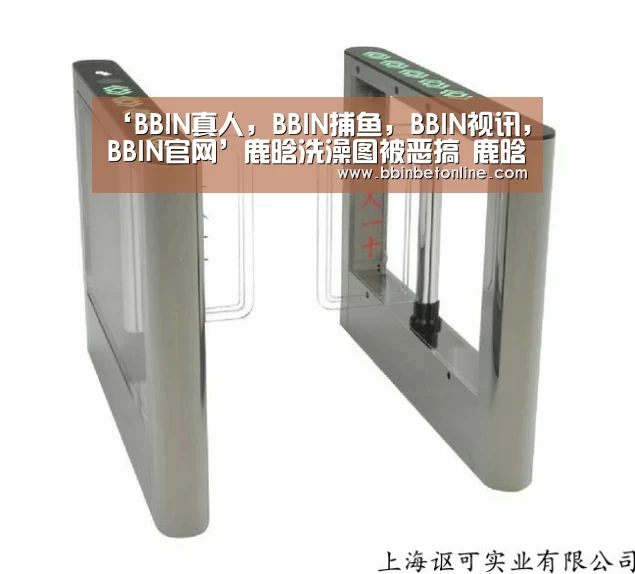 BBIN真人，BBIN捕鱼，BBIN视讯，BBIN官网