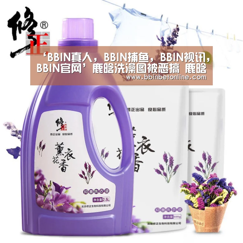 BBIN真人，BBIN捕鱼，BBIN视讯，BBIN官网