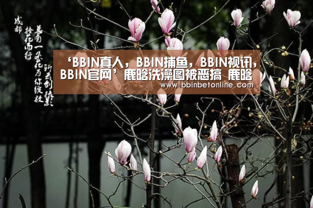 BBIN真人，BBIN捕鱼，BBIN视讯，BBIN官网