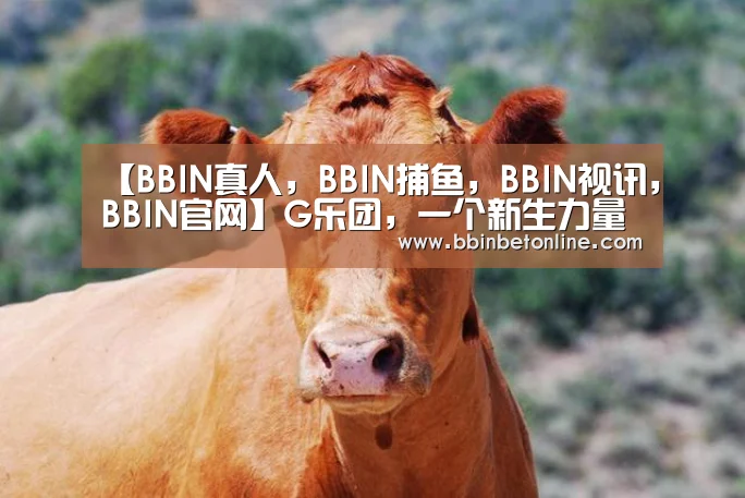 BBIN真人，BBIN捕鱼，BBIN视讯，BBIN官网
