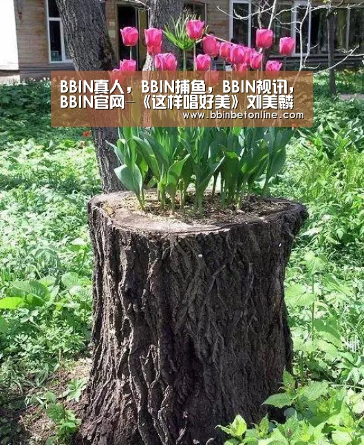 BBIN真人，BBIN捕鱼，BBIN视讯，BBIN官网