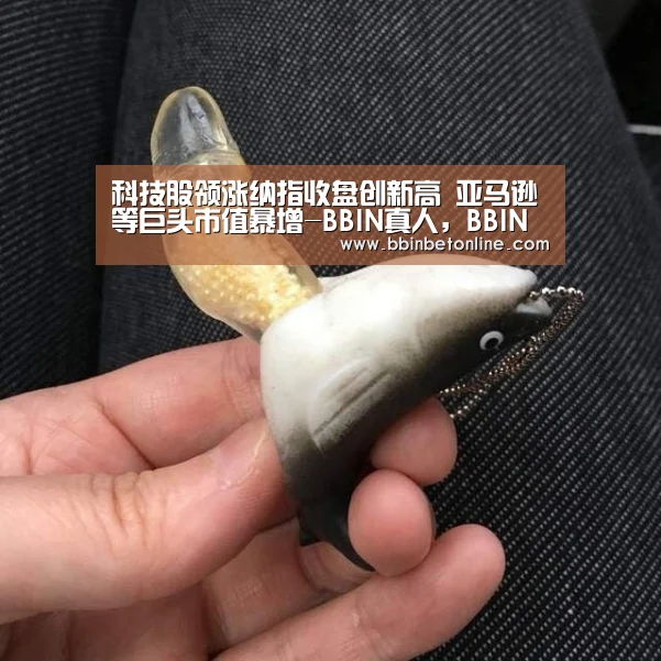 科技股领涨纳指收盘创新高 亚马逊等巨头市值暴增-BBIN真人,BBIN捕鱼,BBIN视讯,BBIN官网(图1) BBIN真人,BBIN捕鱼,BBIN视讯,BBIN官网