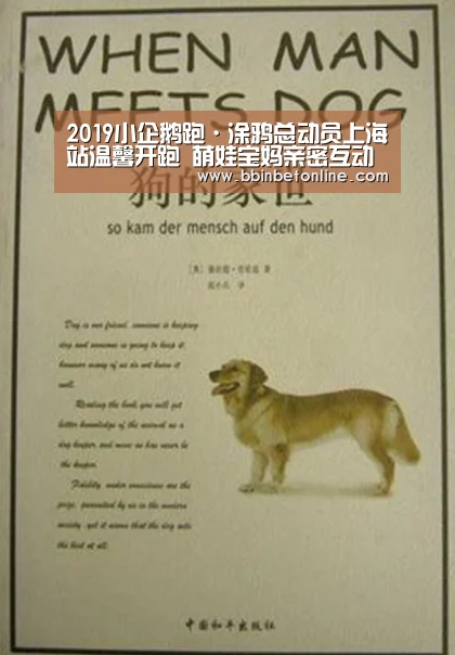 BBIN真人，BBIN捕鱼，BBIN视讯，BBIN官网