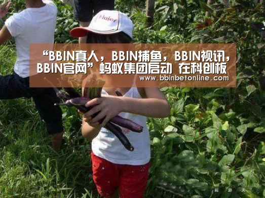 “BBIN真人,BBIN捕鱼,BBIN视讯,BBIN官网”蚂蚁集团启动 在科创板和港交所同步上市计划(图3) BBIN真人,BBIN捕鱼,BBIN视讯,BBIN官网
