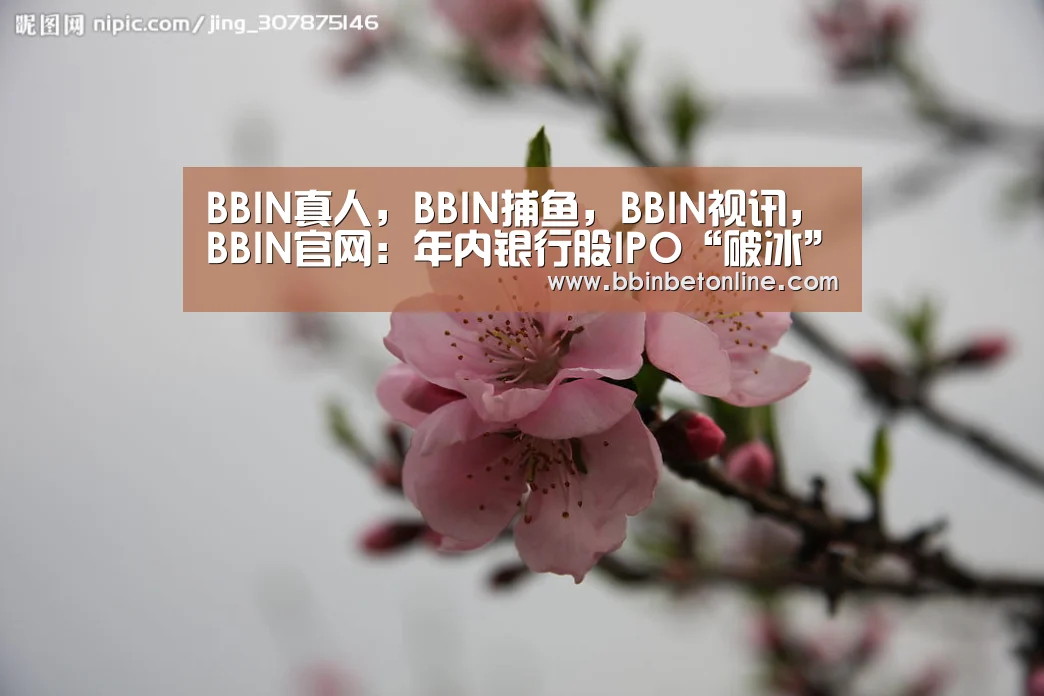 BBIN真人，BBIN捕鱼，BBIN视讯，BBIN官网
