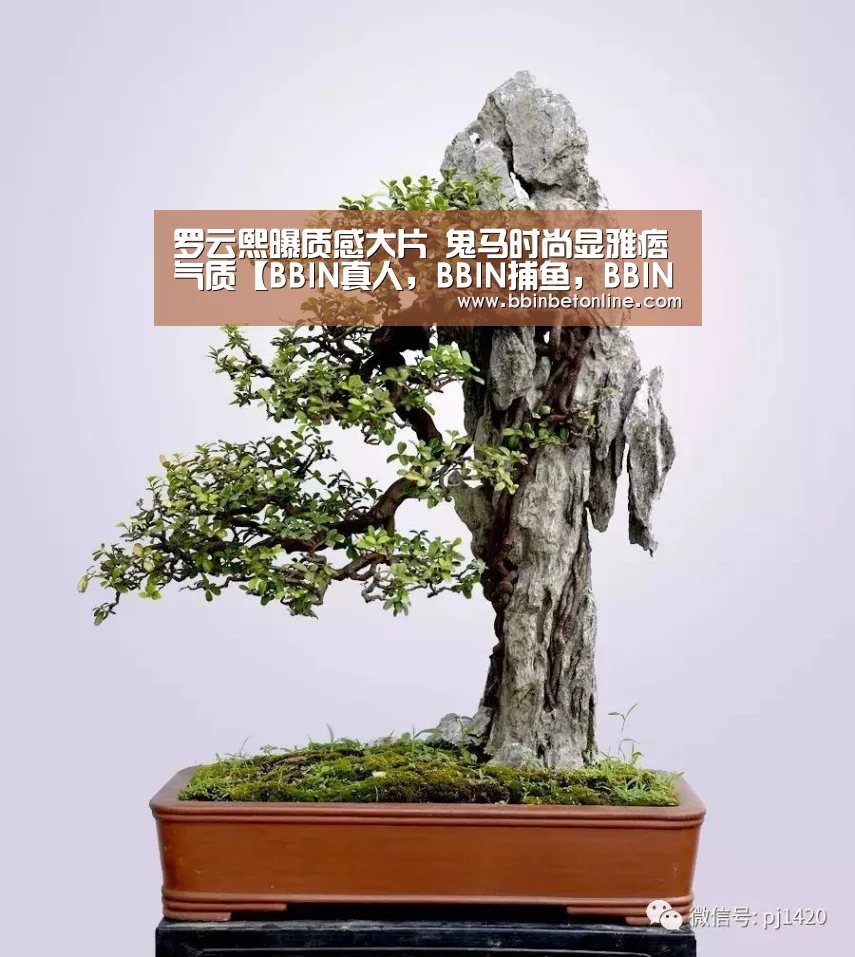 罗云熙曝质感大片 鬼马时尚显雅痞气质【BBIN真人,BBIN捕鱼,BBIN视讯,BBIN官网】(图1) BBIN真人,BBIN捕鱼,BBIN视讯,BBIN官网
